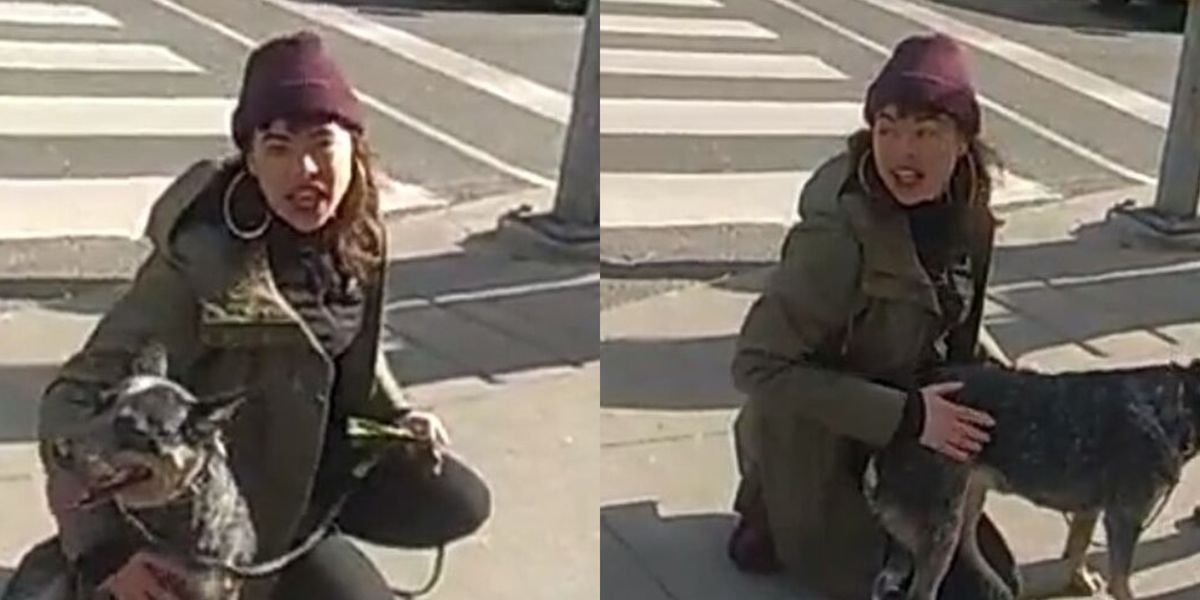 Police Are Looking For A Woman Accused Of Committing A 'Hate-Motivated' Assault In Toronto