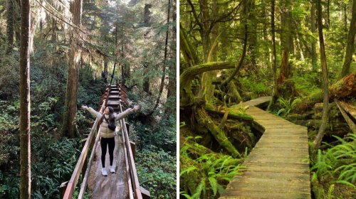This Easy BC Hike Will Have You Feeling Like You've Stepped Into An Enchanted Forest