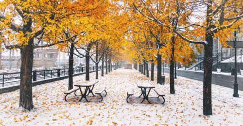 L'hiver au Québec arrive dangereusement vite et voici quand la 1re neige est prévue