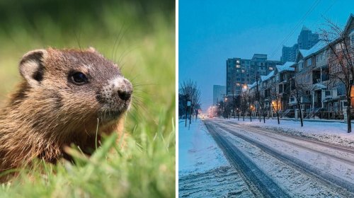 The Groundhog Day 2023 Predictions For Canada Are Out & The Forecast Is