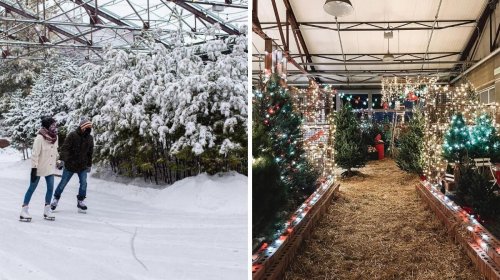 Toronto's Winter Market Is Returning & You Can Skate Through A Snow-Covered Garden