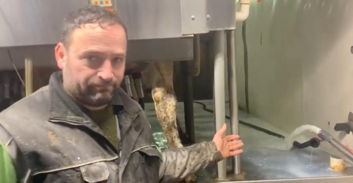 An Ontario Dairy Farmer Dumps 30,000 Litres Of Milk In A Video & Says 'It Breaks My Heart'