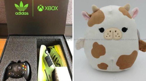 The Feds Are Auctioning Off So Much Random Stuff, Including Squishmallows & Xbox Shoes
