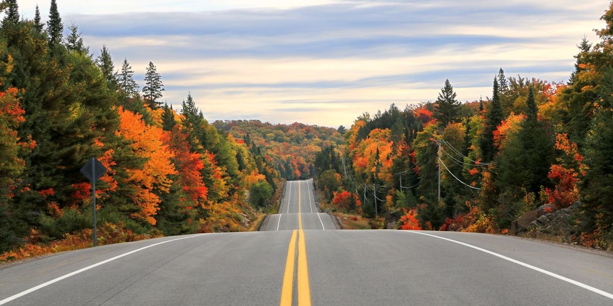 Canada's Fall Forecast Is Here