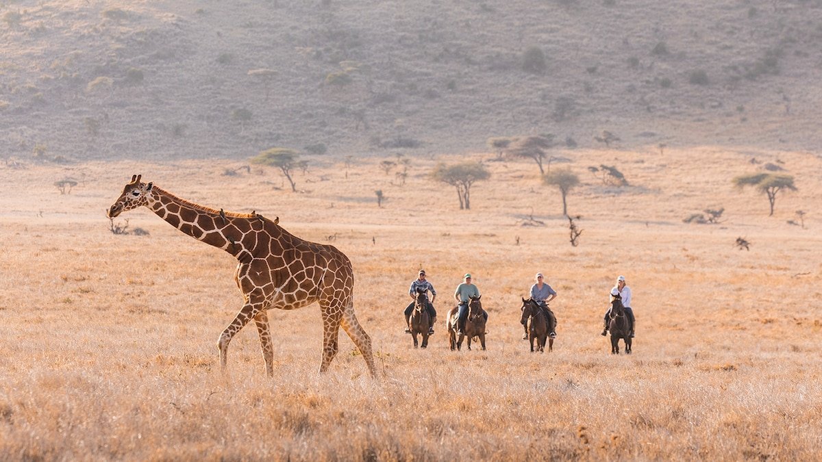 Planning a safari? Here’s what you should know before you go.