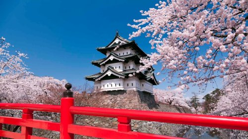 Everything to you need to know about Japan