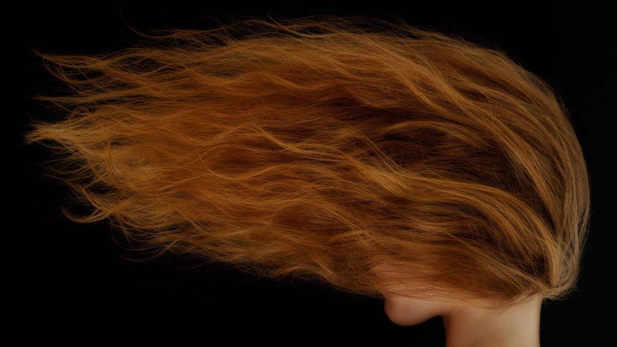 Redheads aren’t going extinct. Here’s why—and 4 more reads - cover
