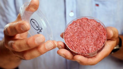 What exactly is lab-grown meat? Here’s what you need to know.