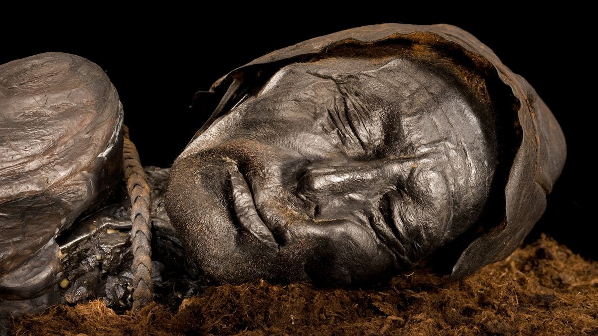 Last meal of sacrificial bog body was surprisingly unsurprising, researchers say