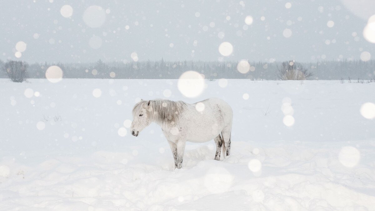 See what life is like in a hidden Siberian village