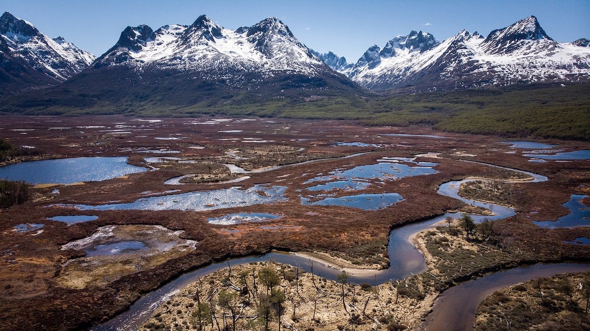 In Argentina’s ‘Land of Fire,’ photos reveal the beauty of bogs