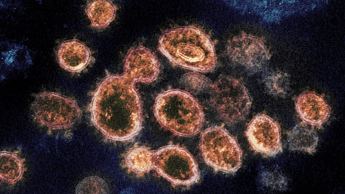 How virus variants get their confusing names—and why that’s changing
