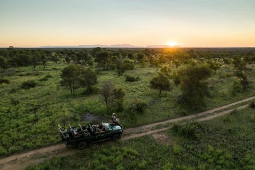 South Africa's safari sector is bouncing back with new lodges and experiences across the north east, from Greater Kruger to Waterberg