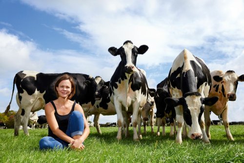 Meet the maker: the cheesemaker bringing curds to the Isle of Wight