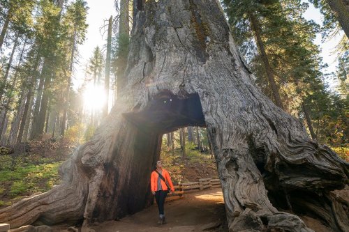Going for gold: the ultimate Californian road trip through Tuolumne County