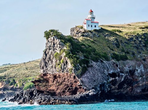 The inside guide to Dunedin, New Zealand's lesser-known adventure hotspot