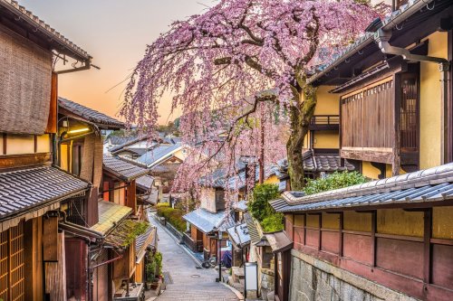 The inside guide to Kyoto's quieter side, from teahouses to temples