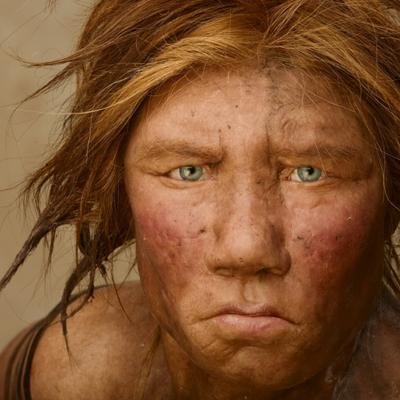 What Were Neanderthals Really Like And Why Did They Go Extinct Flipboard What Were Neanderthals Really Like And Why Did They Go Extinct Flipboard