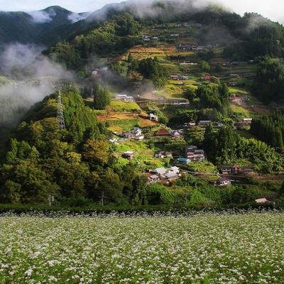 Why the spiritual and secluded Iya Valley should be your next Japanese getaway