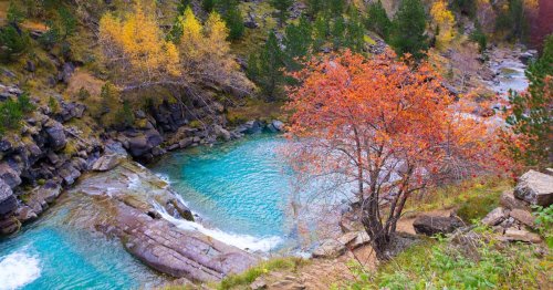 España en 17 bosques asombrosos para descubrir este otoño