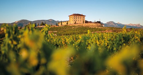 Las mejores bodegas de La Rioja para disfrutar del vino... y de mucho más