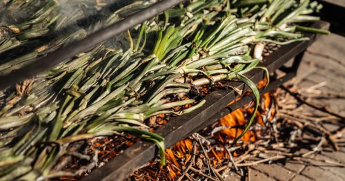 Los mejores restaurantes para hacer calçotadas en Valls