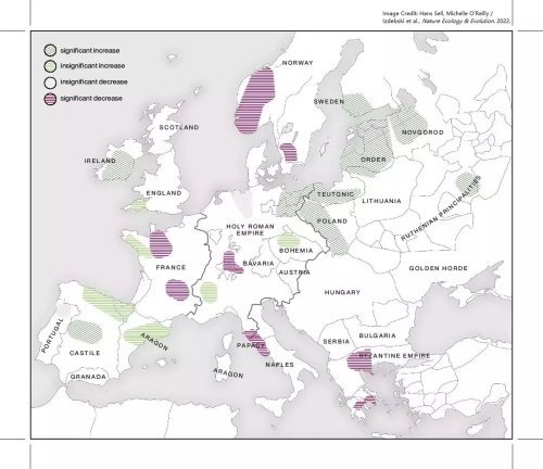 Massensterben im Mittelalter: Wurde die Pest in Europa überbewertet?