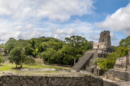 Wie die Maya ihre Städte vergifteten