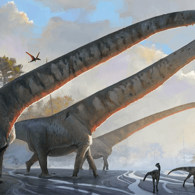 Sagenhafte 15 Meter: Dieser Dinosaurier hatte den längsten Hals von allen