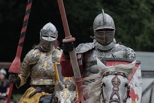 Kleine Kämpfer: Mittelalterliche Pferde waren nur so groß wie Ponys