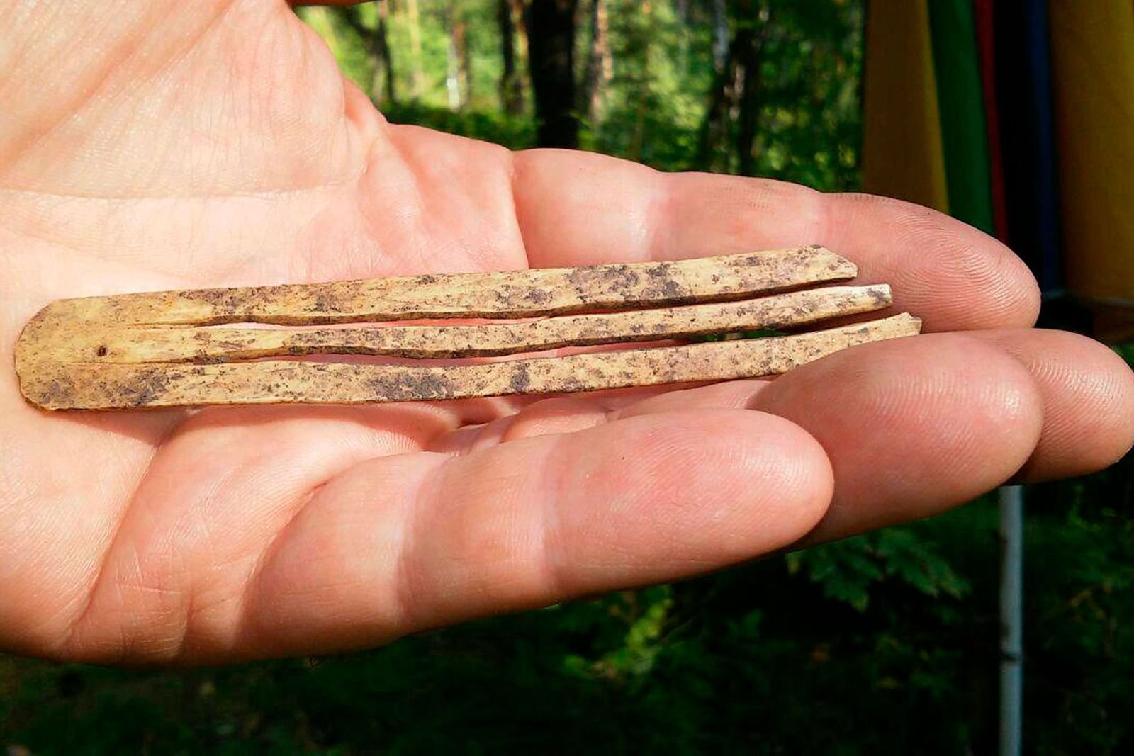 1.700 Jahres altes Musikinstrument entdeckt – und es funktioniert