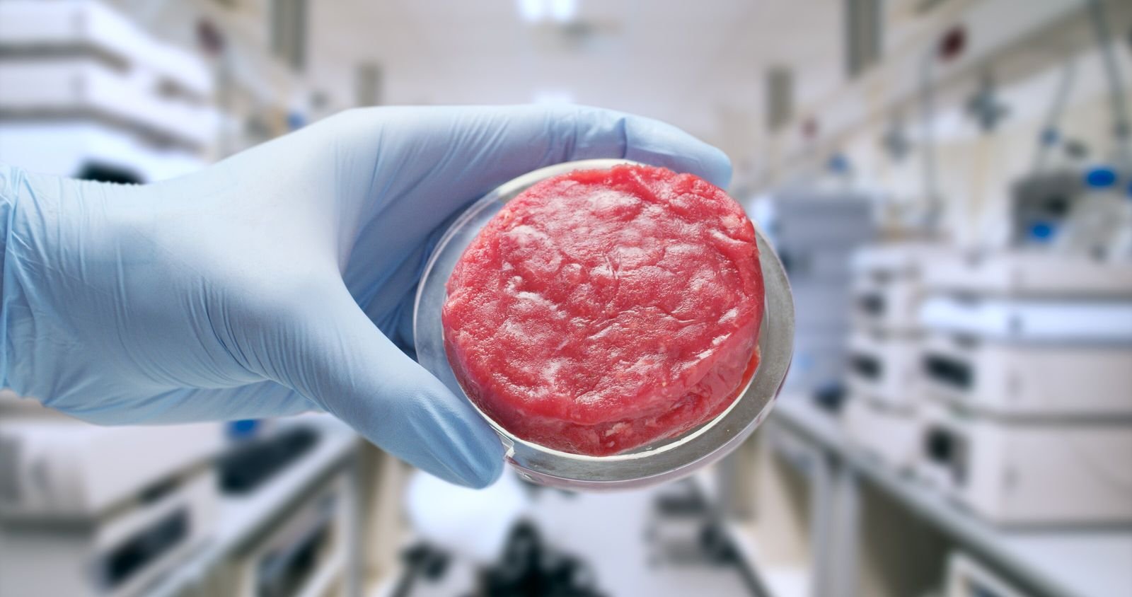 Fleisch aus dem Labor: Ist das unsere Zukunft?