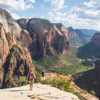 Stadtwandern oder Wildtiere treffen: 3 ungewöhnliche Reiseziele in den USA