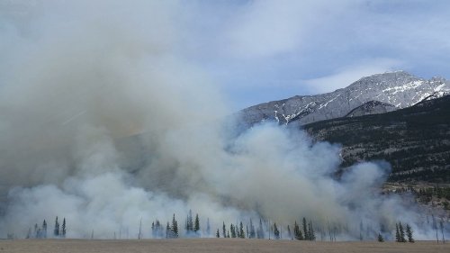 Feuerwache im All: Satelliten spüren Waldbrände auf