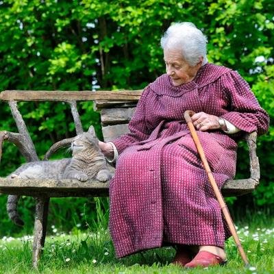 Hund, Katze, Maus: Sprachtest sagt Lebenserwartung von Senioren voraus