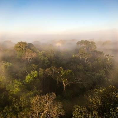 Der Amazonas stößt nun mehr Treibhausgase aus, als er absorbiert