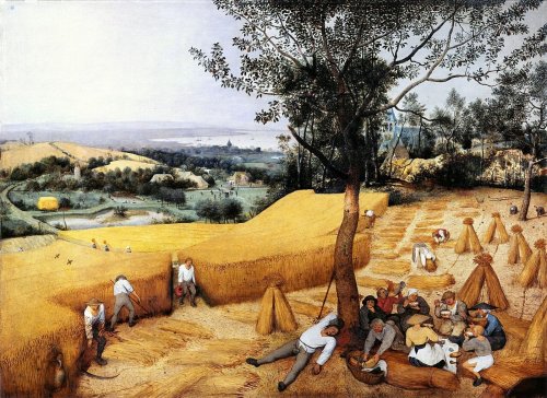 Klimawandel im Mittelalter: Vom Wärmeoptimum in die Kaltzeit
