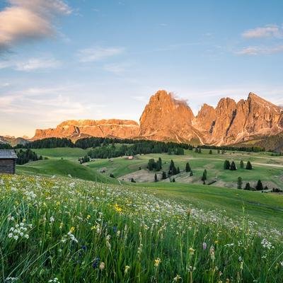 Landschaftsfotograf David Köster: Fünf Tipps für die schönsten Frühlingsfotos