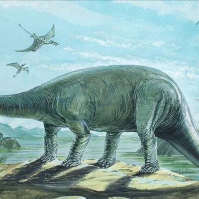 Wie wurden die Dinosaurier so groß?
