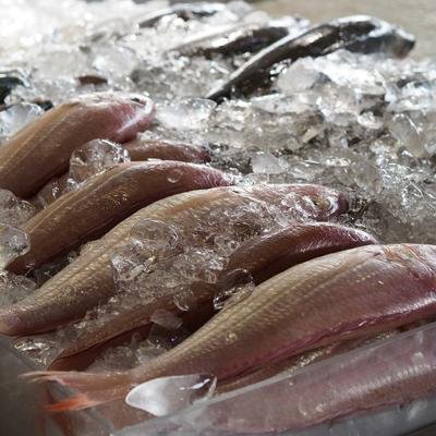 Aquaponik: So ist nachhaltiger Fischkonsum möglich