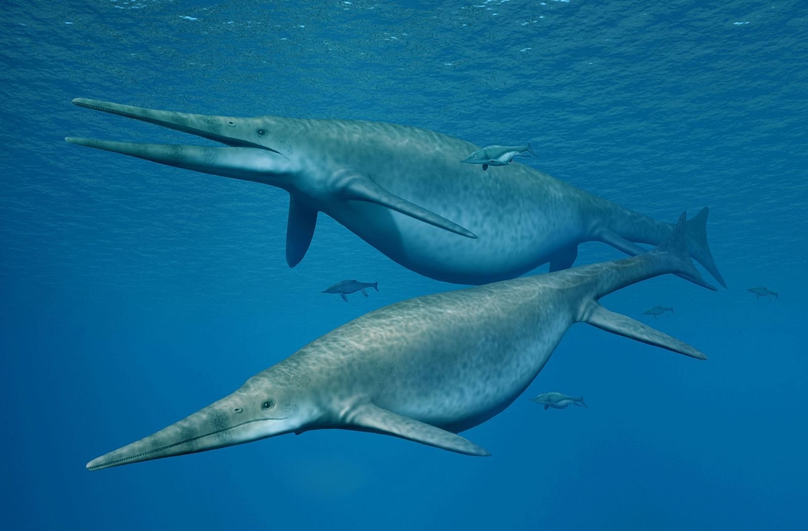 Prähistorische „Seeungeheuer“ waren womöglich größte Tiere der Erdgeschichte