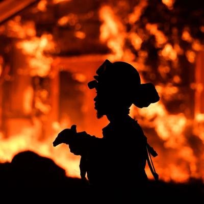 Waldbrände: Ursachen und Gefahren für Mensch, Tier und Planet