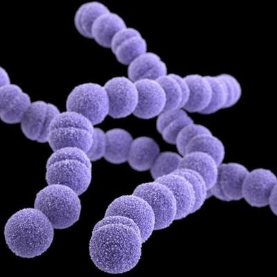 Was sind “fleischfressende Bakterien” und wie bekämpft man sie?