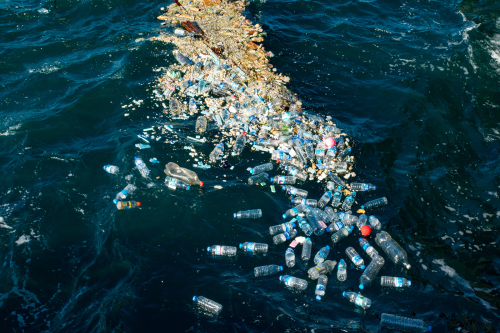 Pazifischer Müllstrudel: Je mehr Abfall, desto mehr Leben?