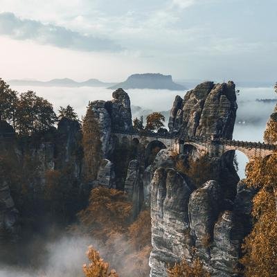 Wildnis vor der Haustür: Im Nebelmeer der Sächsischen Schweiz