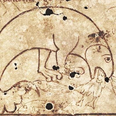 Mysteriöses Verhalten von Walen erklärt den Ursprung von Seeungeheuern in alten Sagen