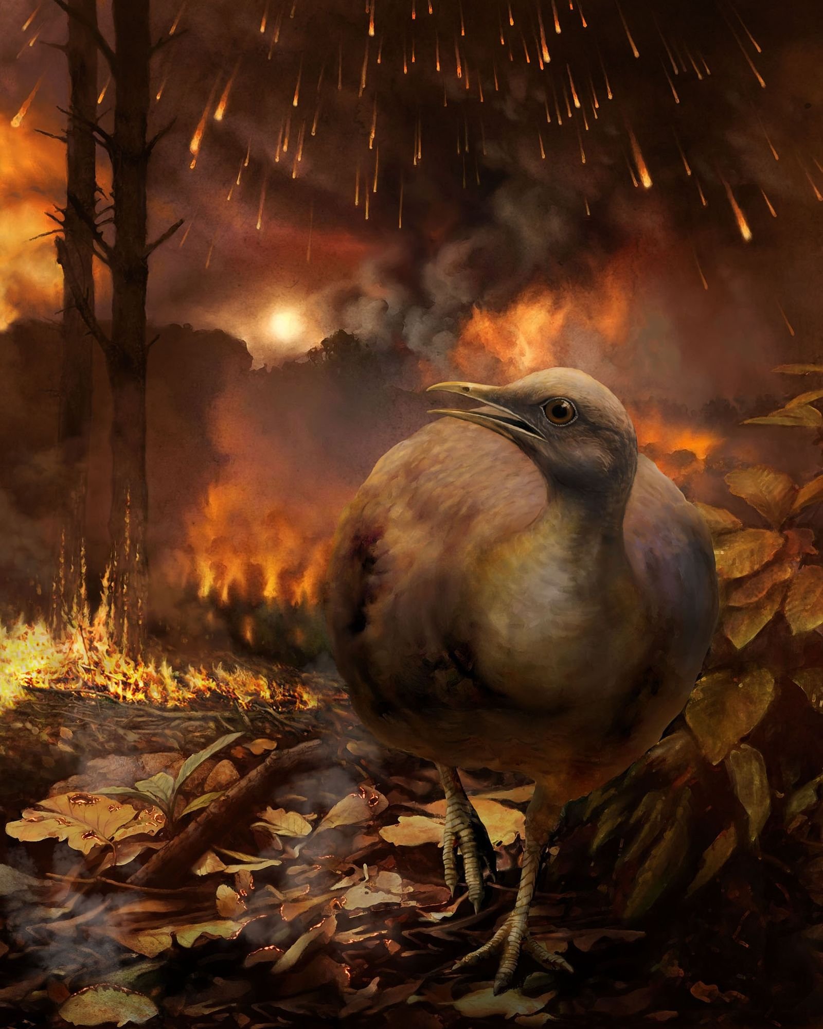 Wie überlebten prähistorische Vögel das Massensterben der Saurier?