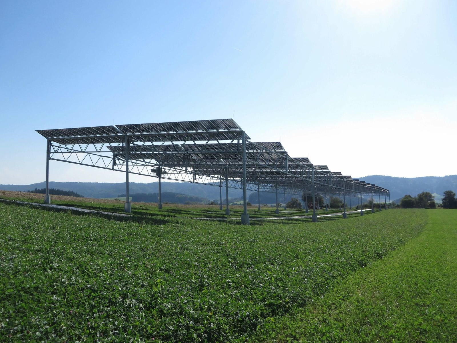 Agri-Photovoltaik: Stromproduktion beim Gemüseanbau
