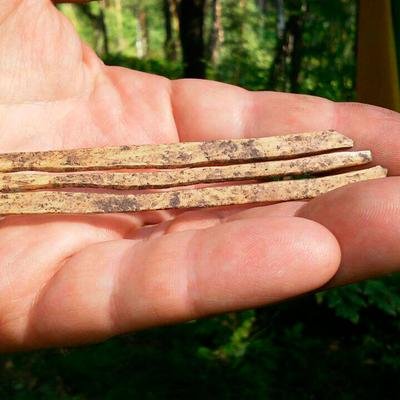 1.700 Jahres altes Musikinstrument entdeckt – und es funktioniert