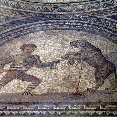 Bissspuren an Gladiator-Knochen: Hinweise auf Kampf gegen Raubkatze?